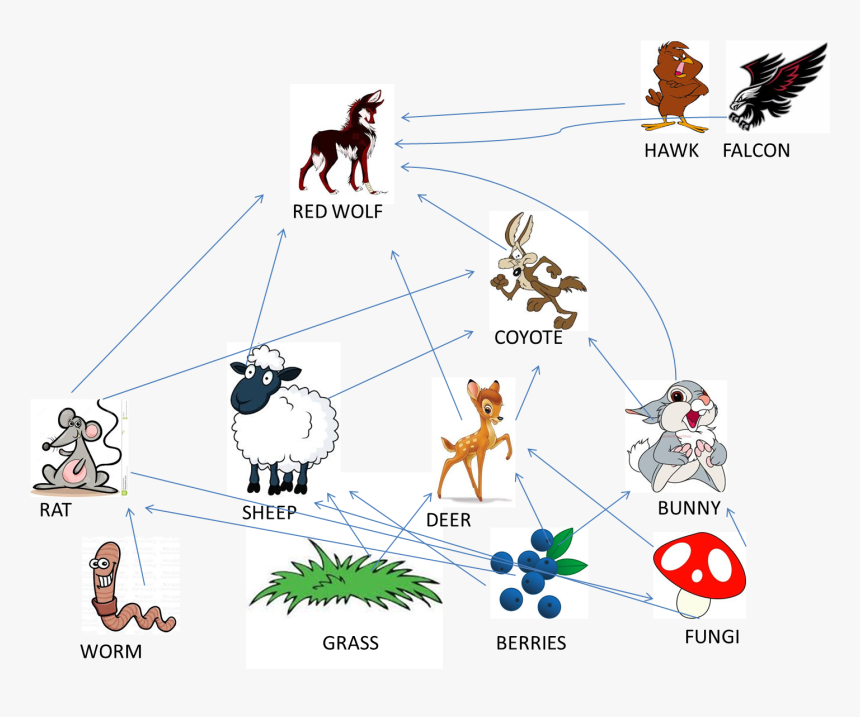 - Red Wolf Food Chain , Png Download - Food Chain Pics Hd, Transparent Png, Free Download