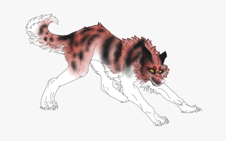 5$ Red Wolf - Sketch, HD Png Download, Free Download