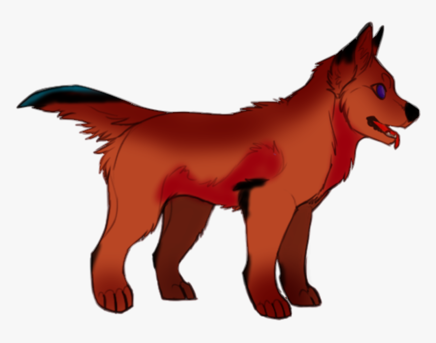Red Fox Dog Dhole Red Wolf Snout - Black Norwegian Elkhound, HD Png Download, Free Download