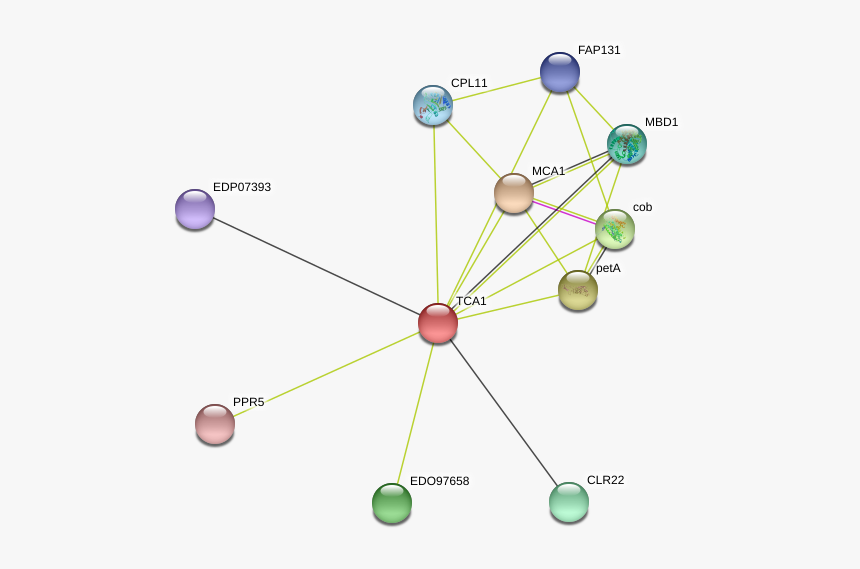 Tca1 Protein - Circle, HD Png Download, Free Download