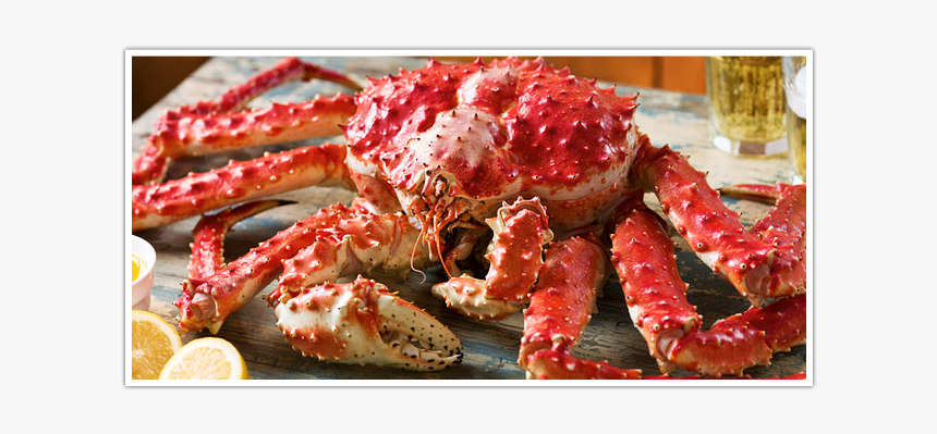 Alaskan King Crab - Snow Crab Buffet Singapore, HD Png Download, Free Download