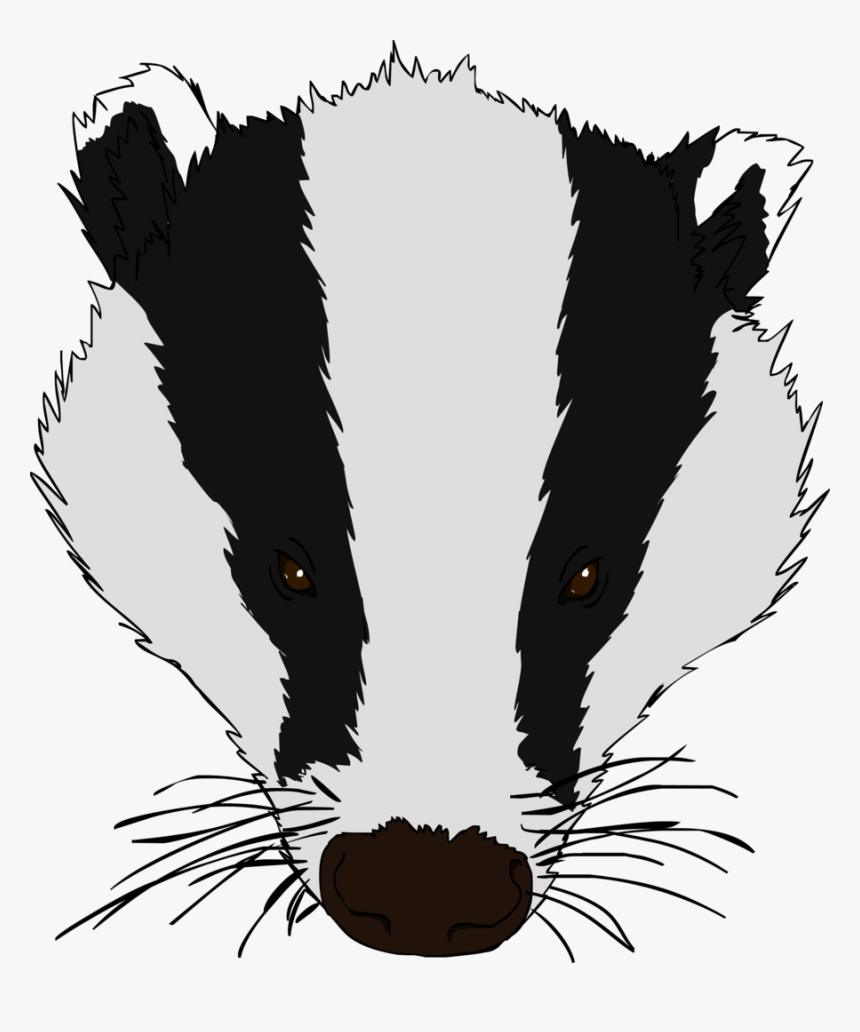 Honey Badger Clipart Baby - Honey Badger Face Drawing, HD Png Download, Free Download