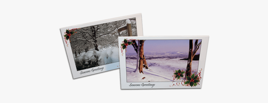 Christmas Cards - Picture Frame, HD Png Download, Free Download