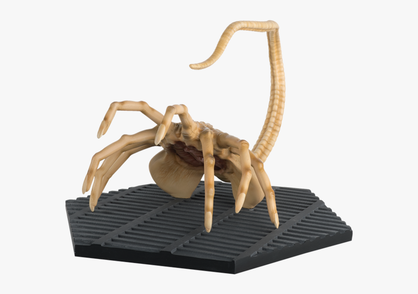 Mega Aliens Facehugger - Figurine, HD Png Download, Free Download