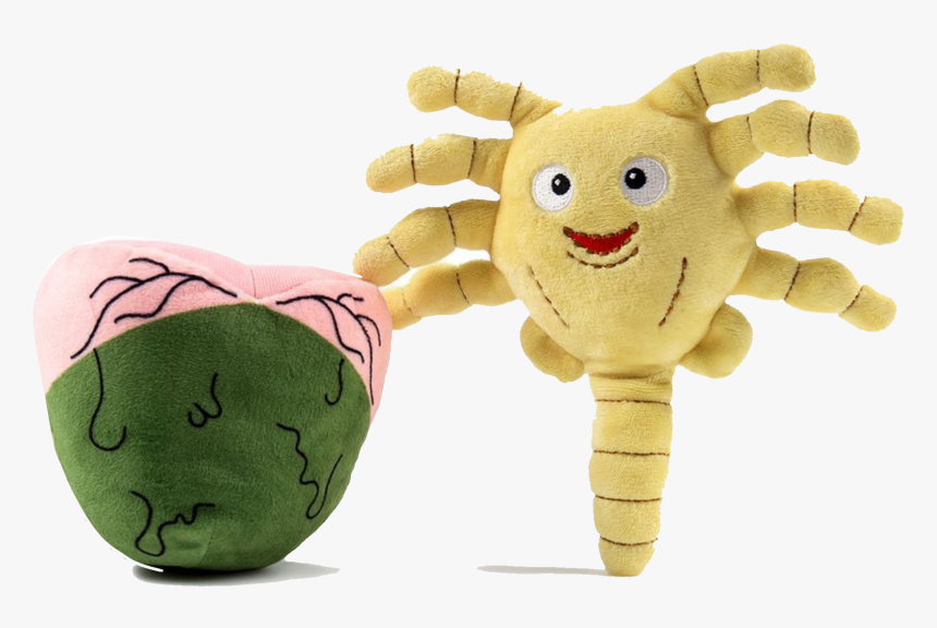 Facehugger Plush, HD Png Download, Free Download
