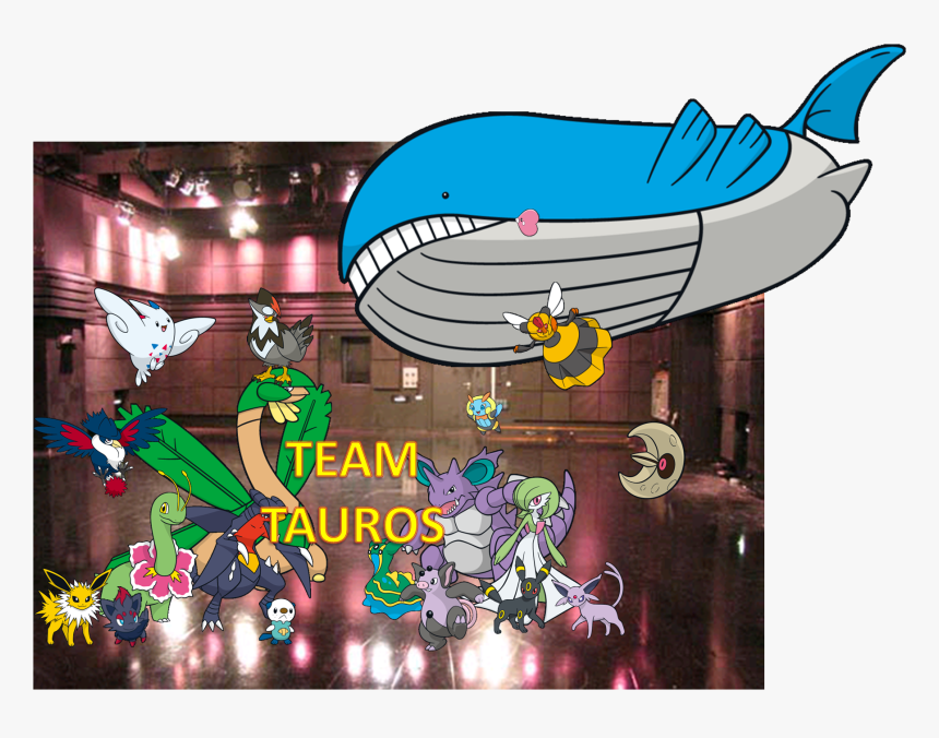 Team Tauros Group Pic - Wailord, HD Png Download, Free Download