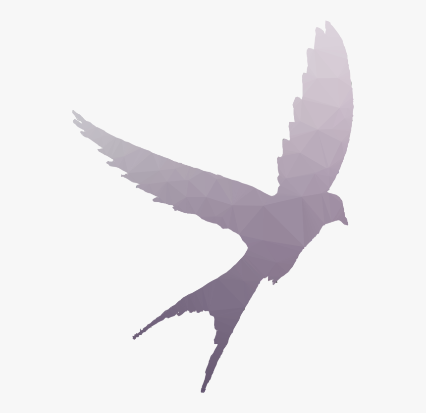 Bird Shadow Clipart Swallow Bird Flight - Flying Bird Silhouette Tattoo, HD Png Download, Free Download