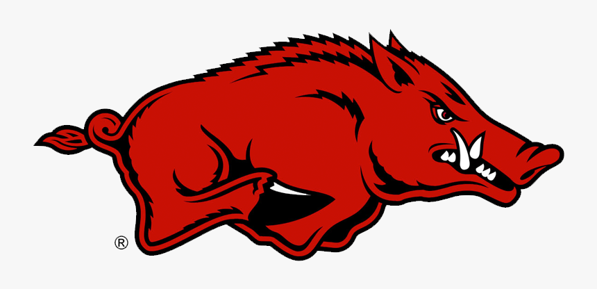 Arkansas Razorbacks, HD Png Download, Free Download