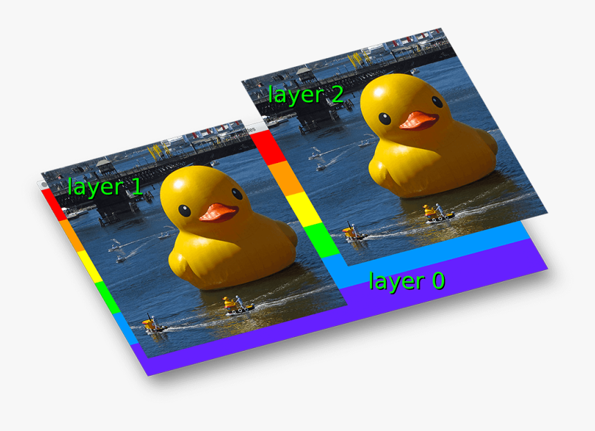 Duck, HD Png Download, Free Download