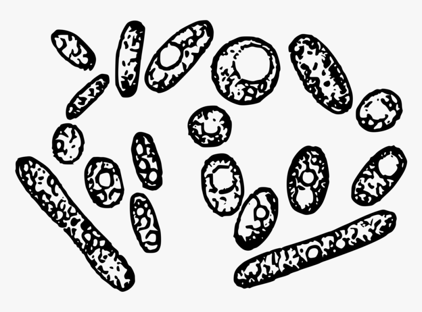 Line Art,monochrome Photography,text - Yeast Clipart, HD Png Download, Free Download