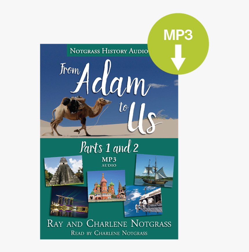 From Adam To Us Audio Supplement - Stallion, HD Png Download, Free Download