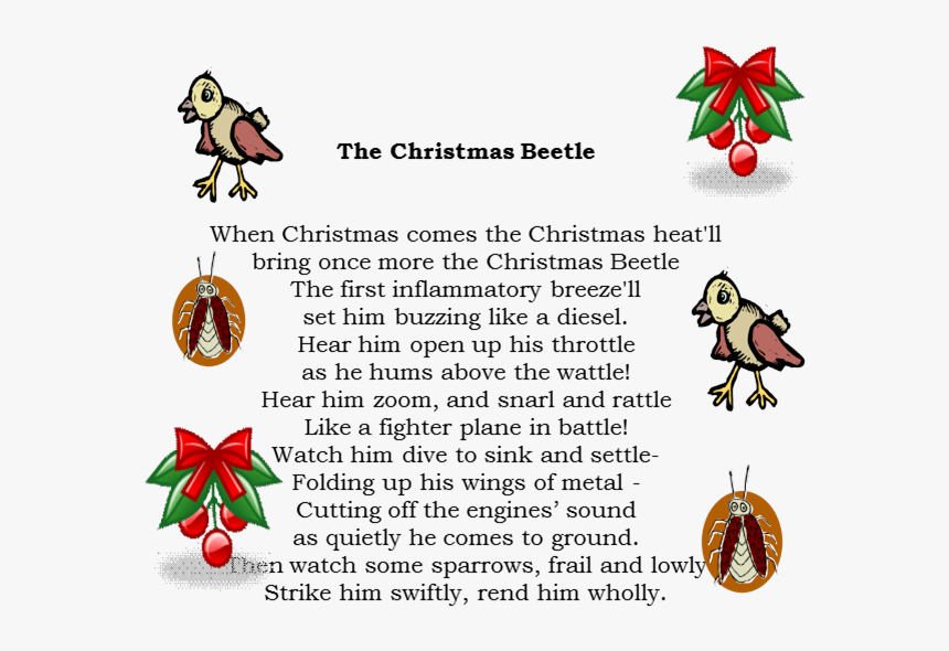 Christmas Beetle - Cartoon, HD Png Download, Free Download