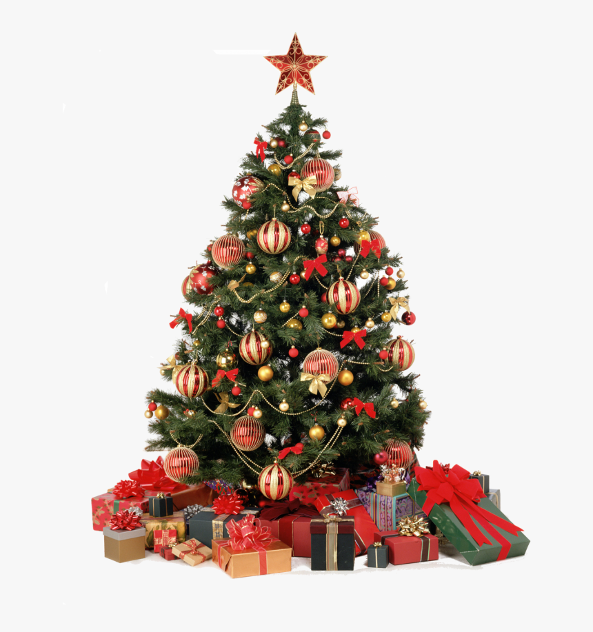 Christmas Background Tree Transparent - Christmas Home Png, Png Download, Free Download