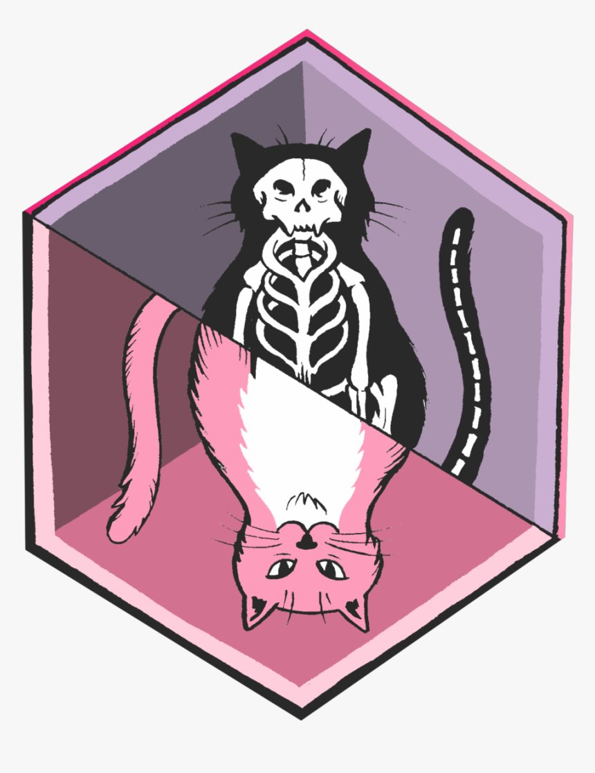 Schrodinger's Cat Animated Gif, HD Png Download, Free Download