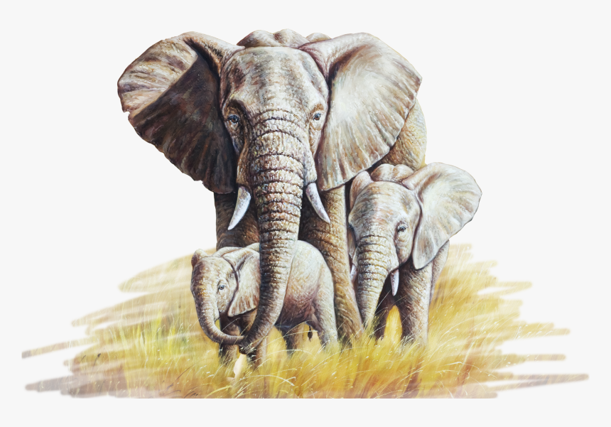 African Elephant Oil Painting Canvas - Elephant Painting Png, Transparent Png, Free Download