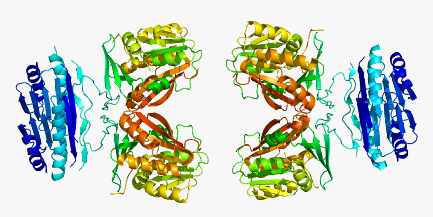 Protein Sms Pdb 3c6k - Illustration, HD Png Download, Free Download