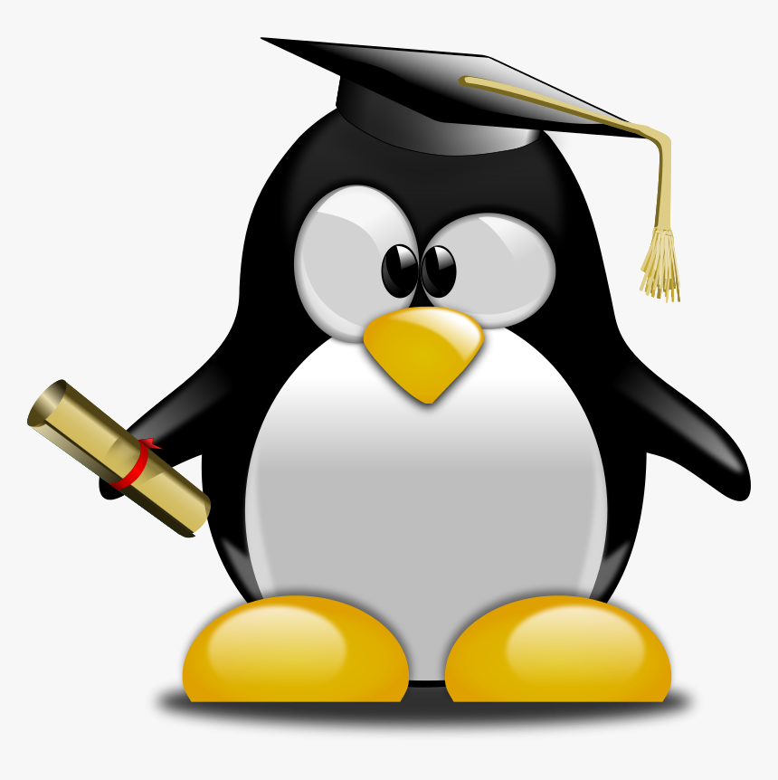 Penguin With Graduation Cap, HD Png Download, Free Download