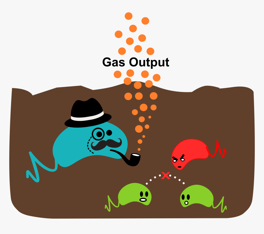 Soil Will Help Researchers Observe Gene Expression - Soil Microorganisms In Animation, HD Png Download, Free Download