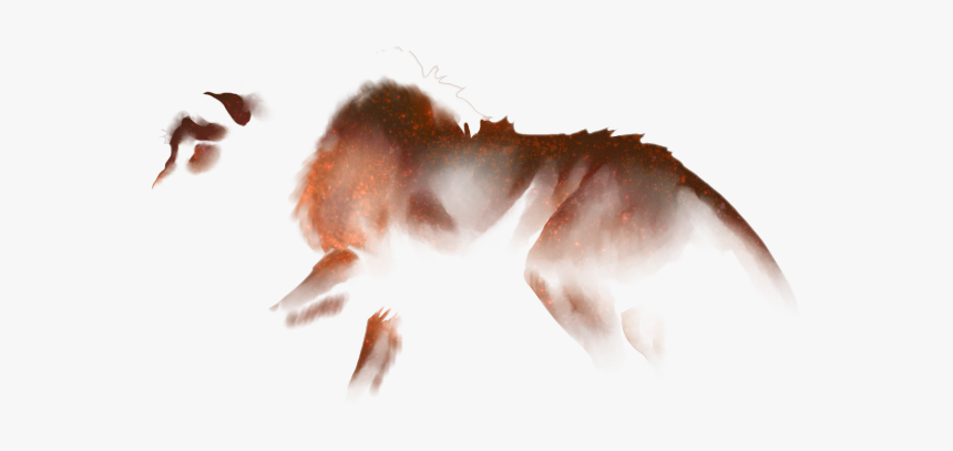 Insect, HD Png Download, Free Download