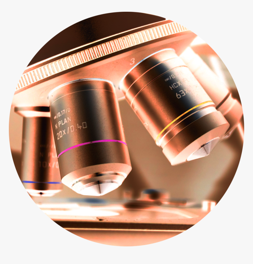 Circle Microscopy - Lens, HD Png Download, Free Download