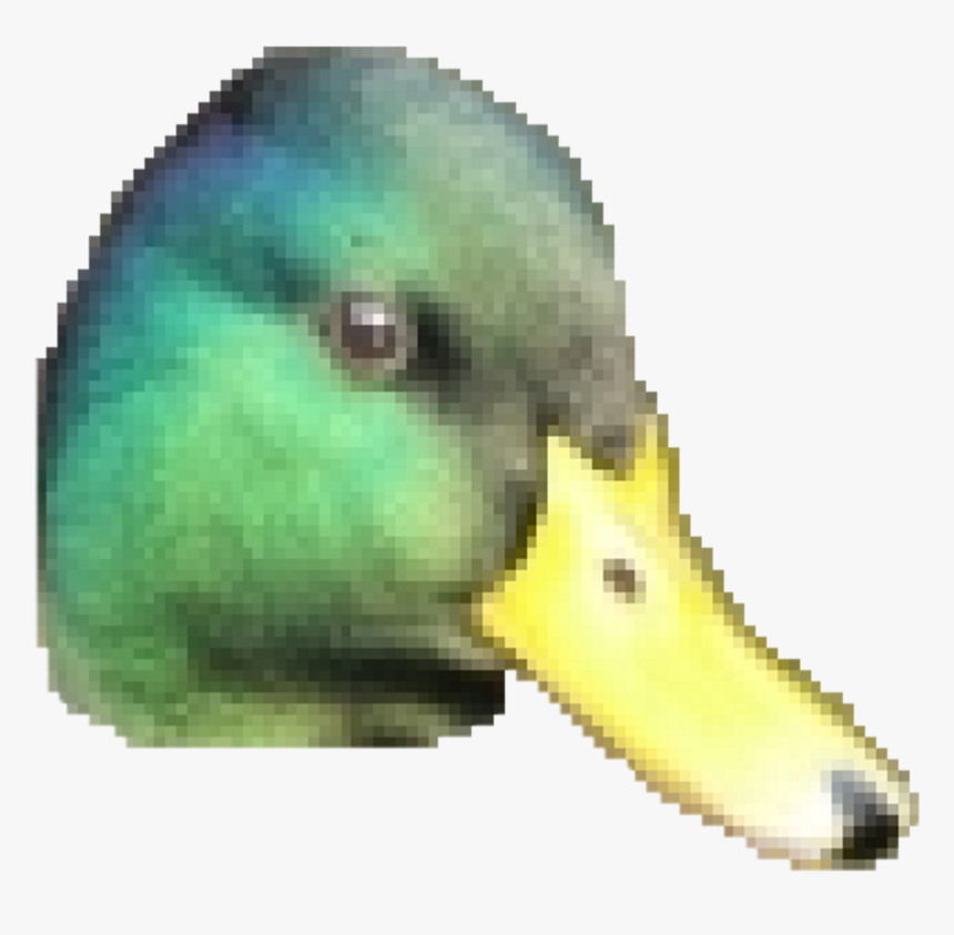 Thumb Image - Duck Face Png, Transparent Png, Free Download