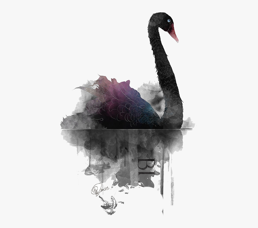 Transparent Black Swan Clipart - Black Swan Watercolor, HD Png Download, Free Download