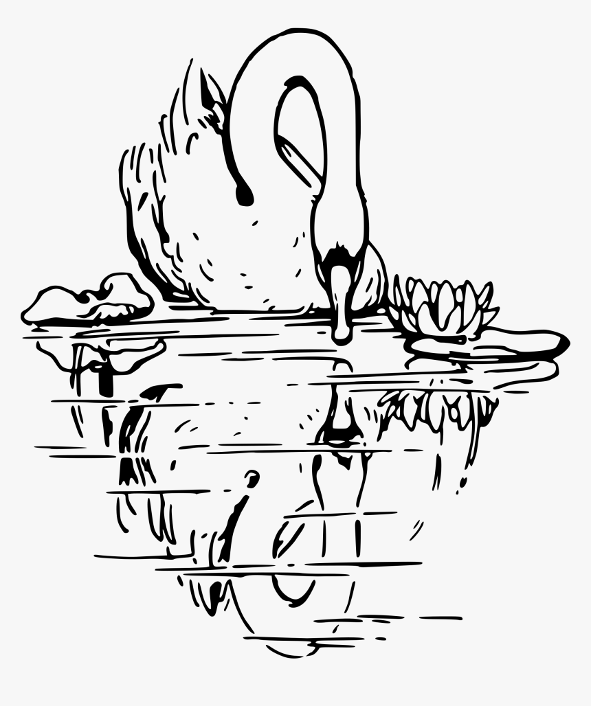 Swan 2 Clip Arts - Swan Drawing, HD Png Download, Free Download