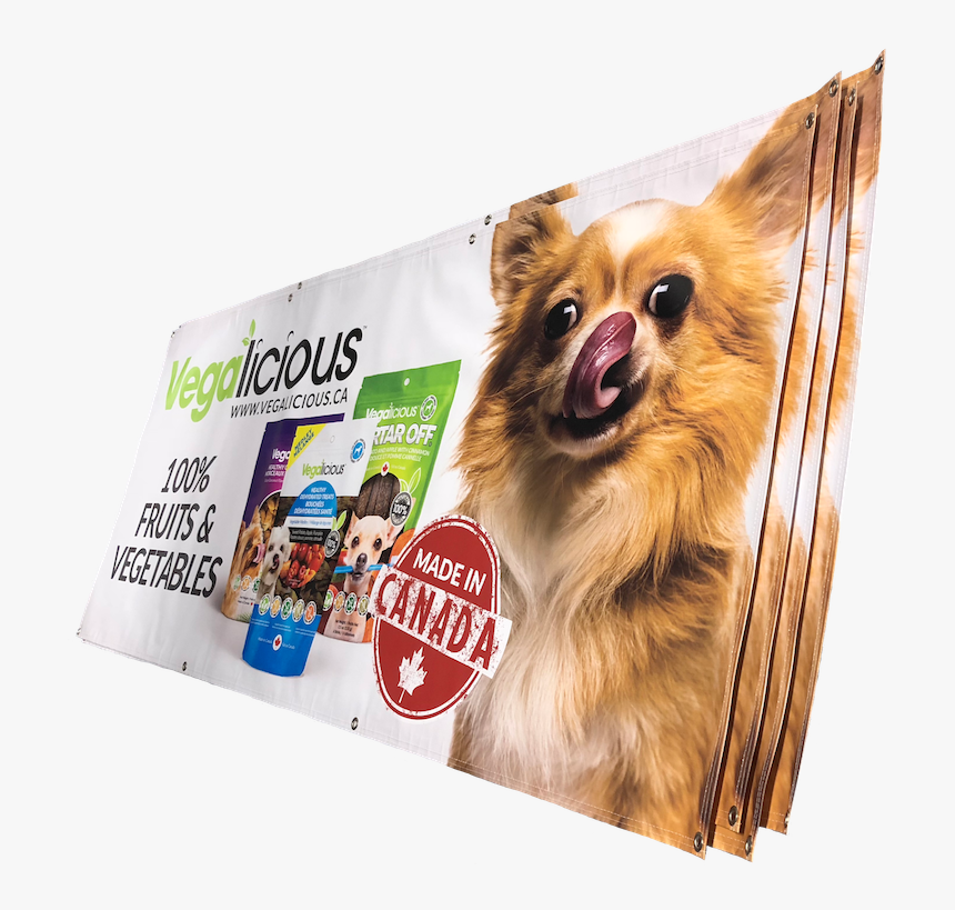 Advertising Banners - Chihuahua, HD Png Download, Free Download