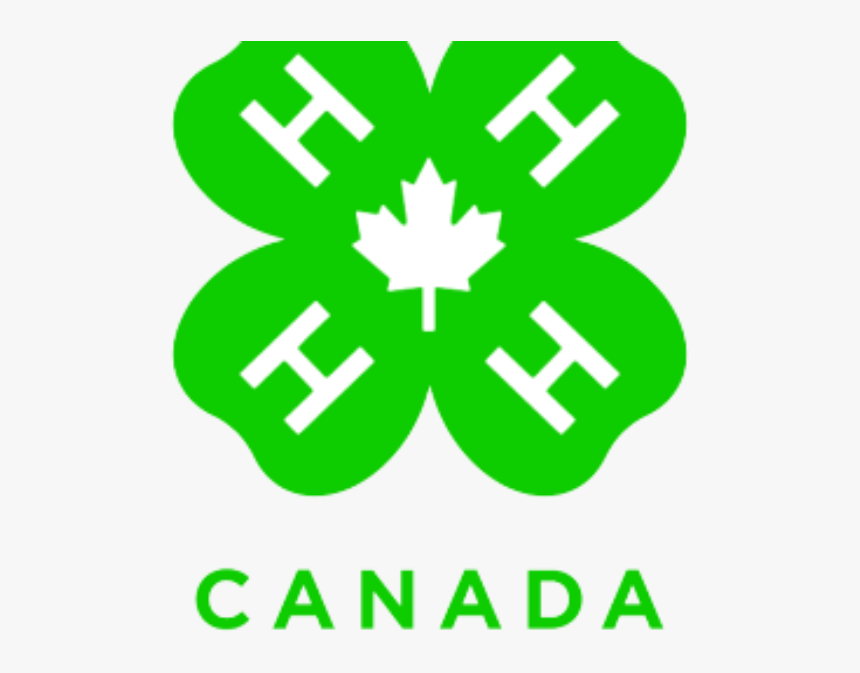 4 H Canada Logo Clipart , Png Download - 4 H Canada, Transparent Png, Free Download