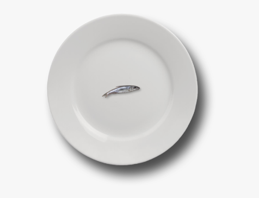 Saucer, HD Png Download, Free Download