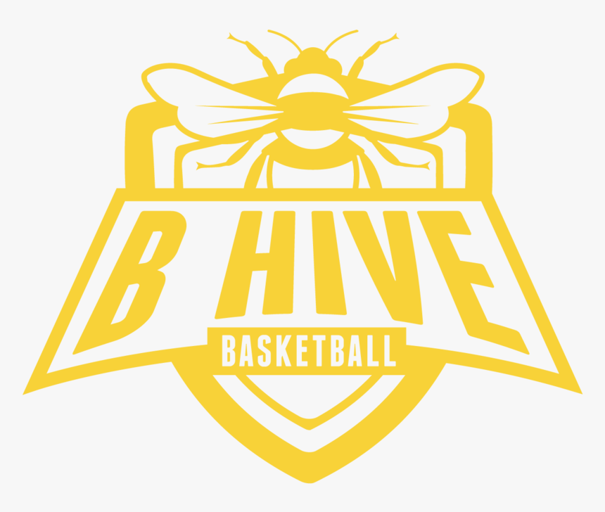 Basketball .png, Transparent Png, Free Download