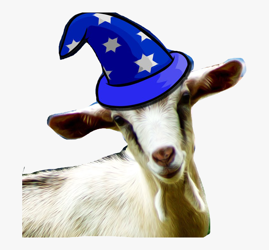 Hd Picture Of Goat, HD Png Download, Free Download