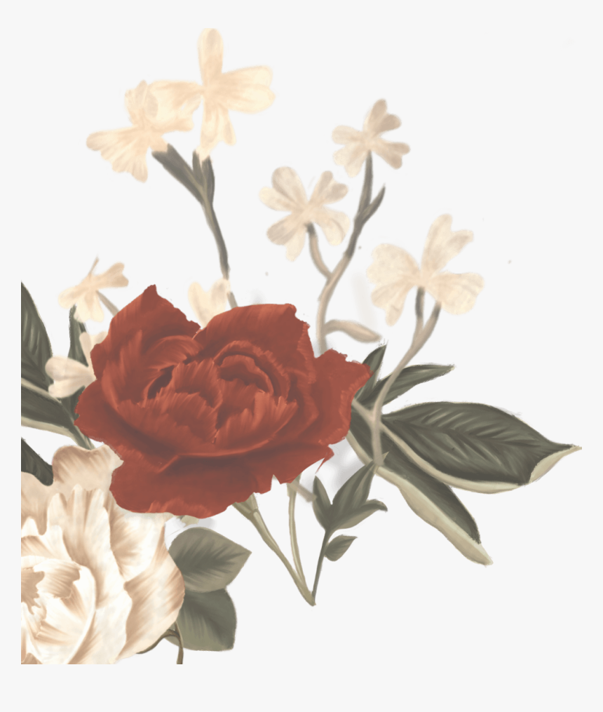 Shawn Mendes Album Flowers, HD Png Download, Free Download