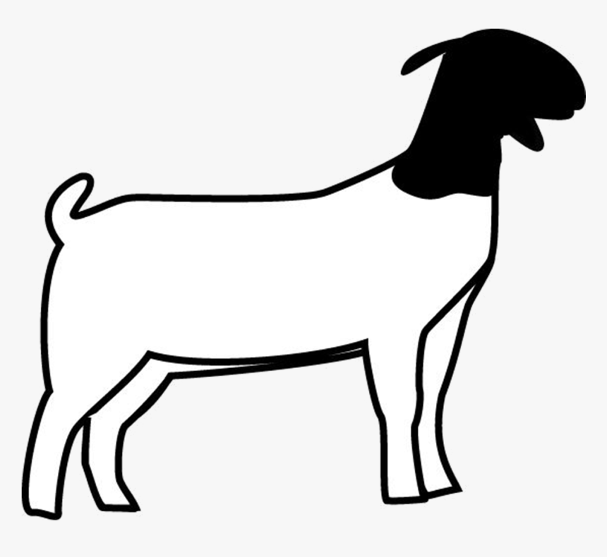 Easy To Draw Boer Goat , Transparent Cartoons - Boer Goat Clip Art, HD Png Download, Free Download
