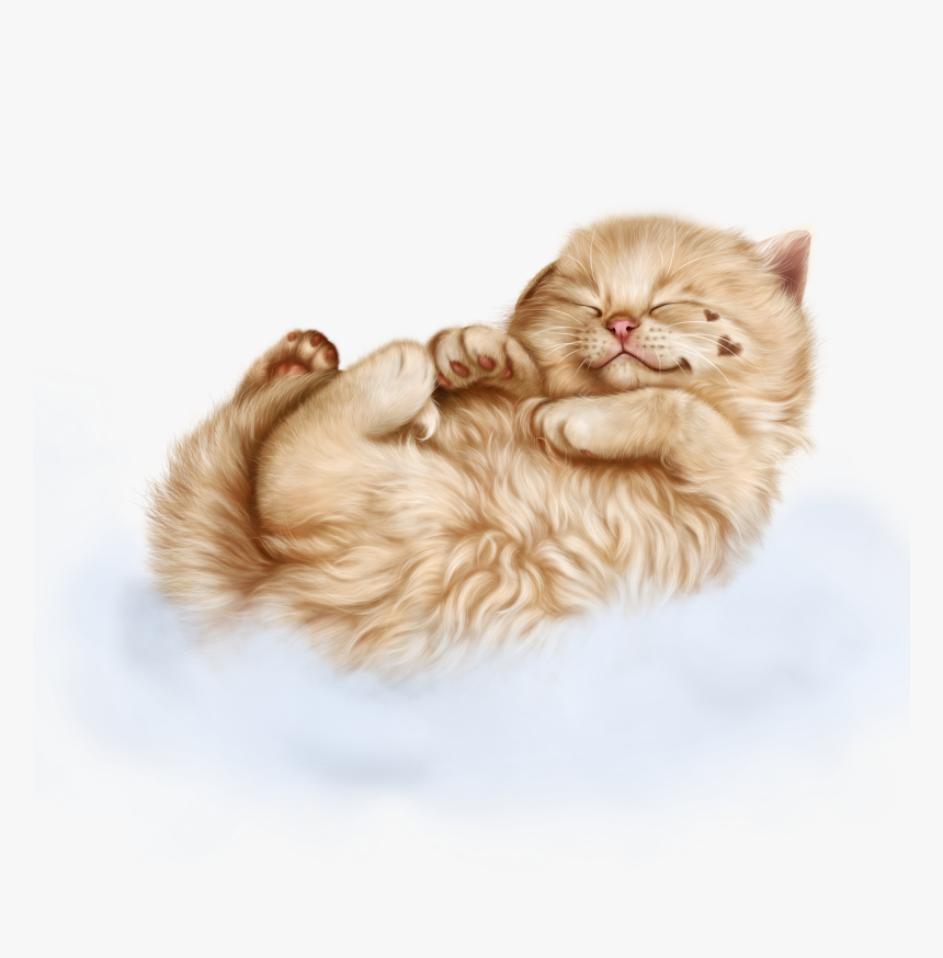 Transparent Cats Clipart Png - Transparent Sleeping Cat Png, Png Download, Free Download