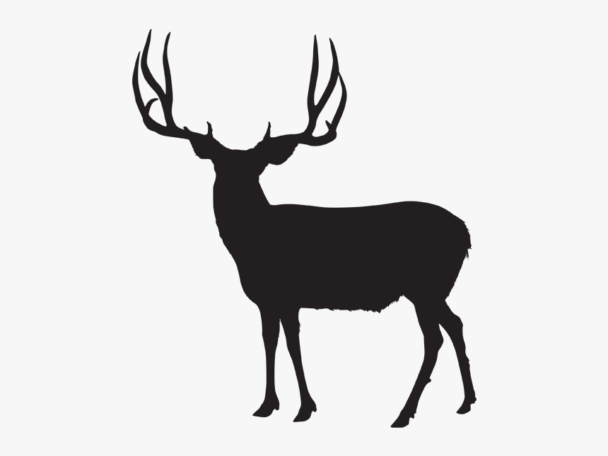 Mule Deer Silhouette - Mule Deer Buck Silhouette, HD Png Download, Free Download