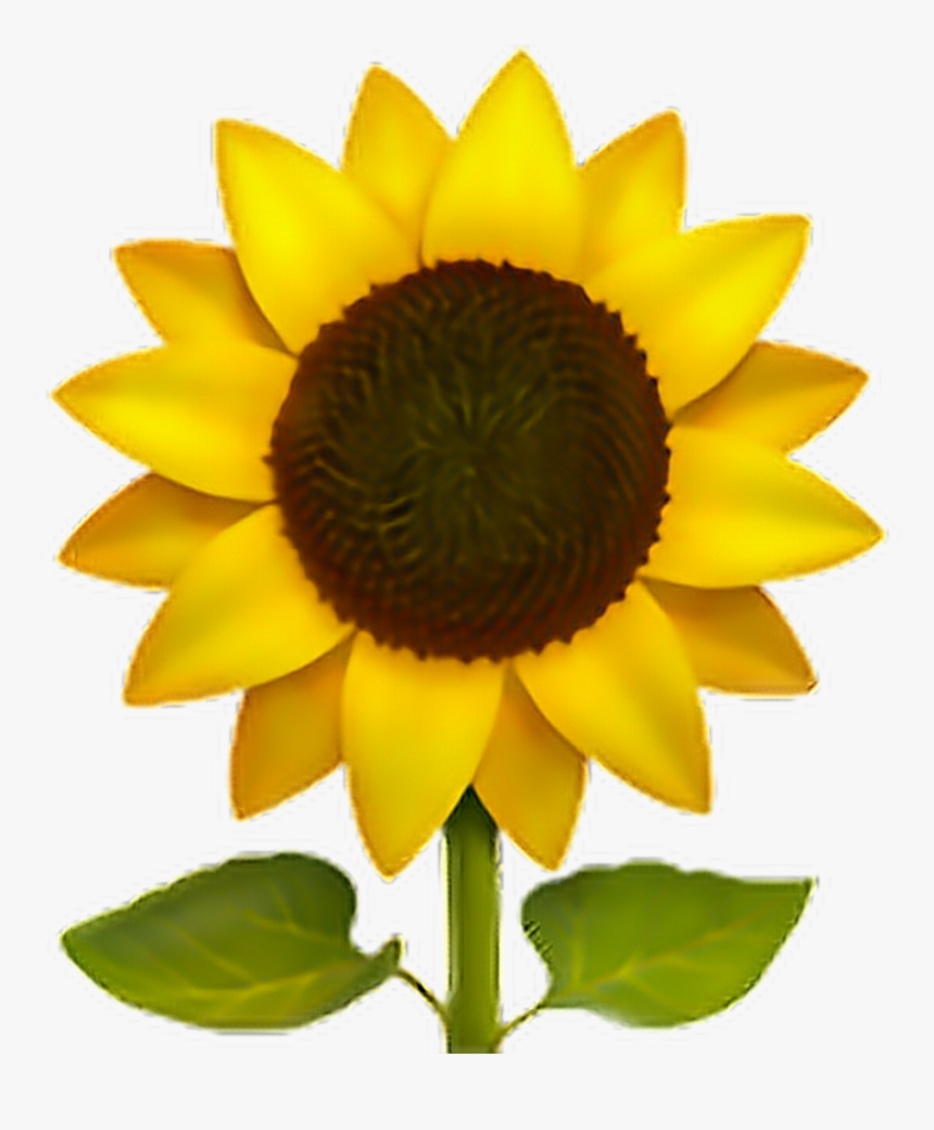 ❁ Sunflower Emoji 🌻 Sunflower Sun Flower Emoji Emotico - Sunflower Emoji Png, Transparent Png, Free Download