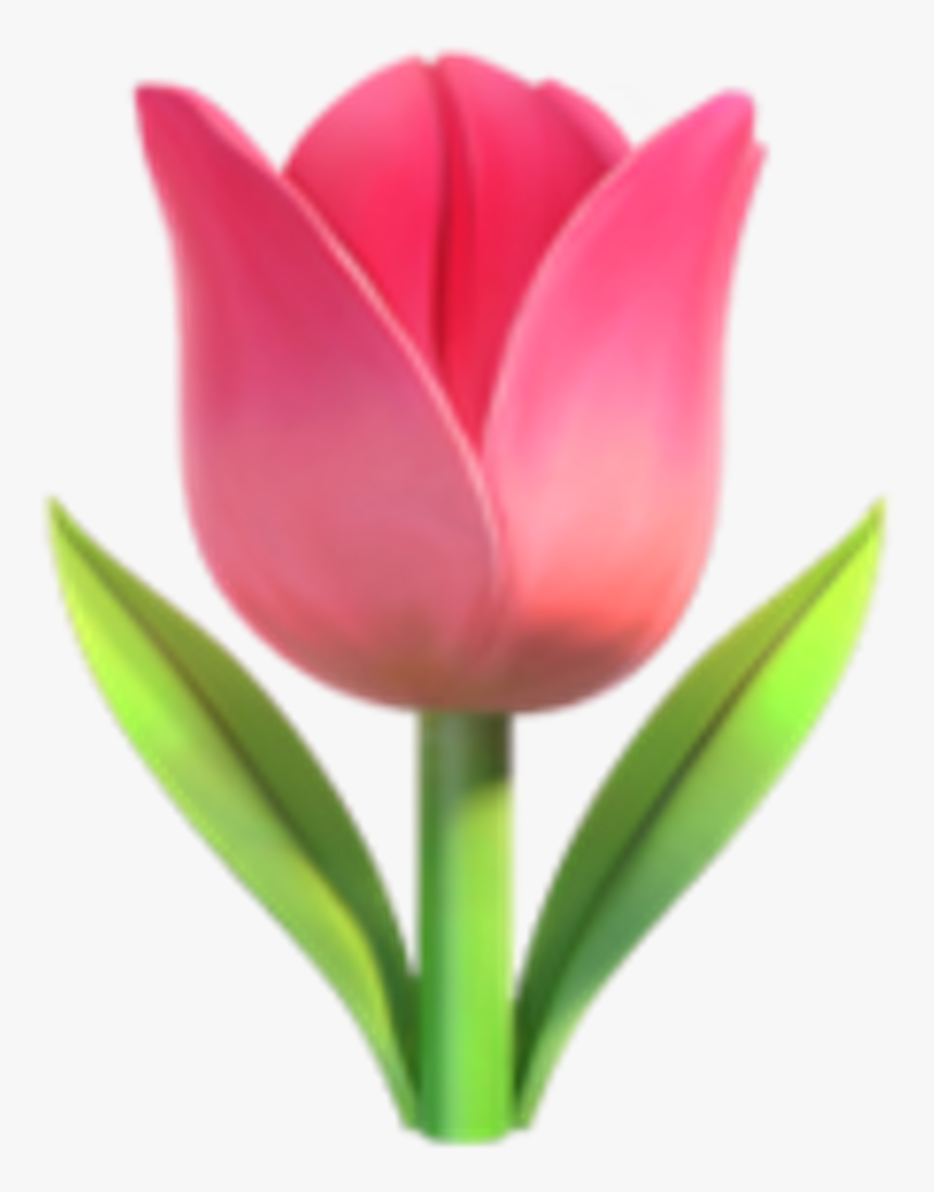 Pink Flower Clipart Emoji - Tulip Emoji, HD Png Download, Free Download