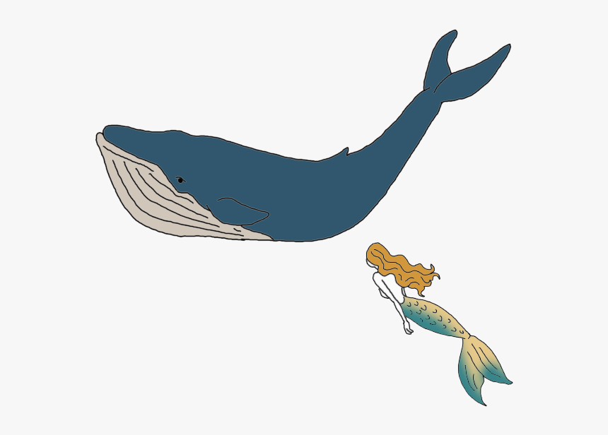 Whale - Whales, HD Png Download, Free Download