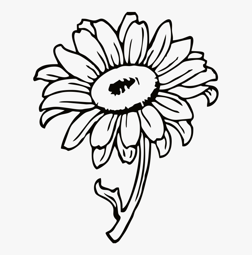 Clip Art Of Yellow Sunflower, HD Png Download, Free Download