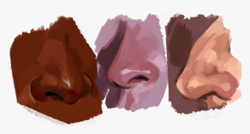 Oil Painting Nose Tutorial, HD Png Download, Free Download
