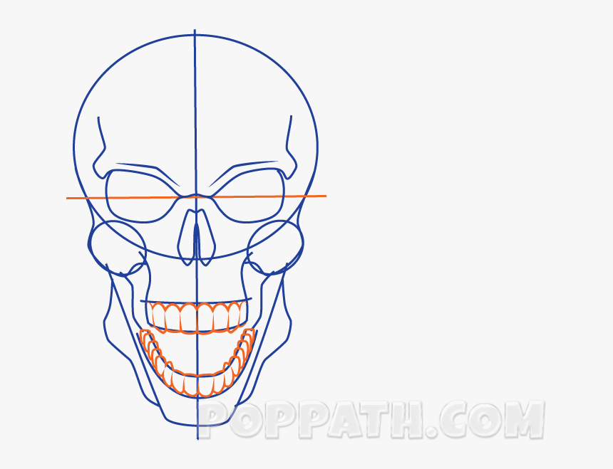 Skull, HD Png Download, Free Download