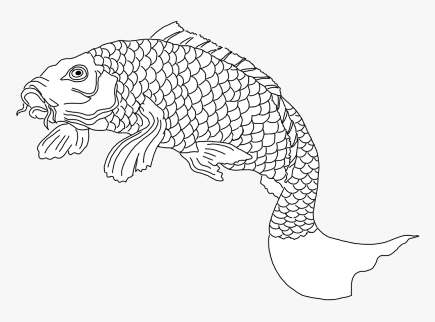 Koi Fish Sketch Black White - Drawing, HD Png Download, Free Download