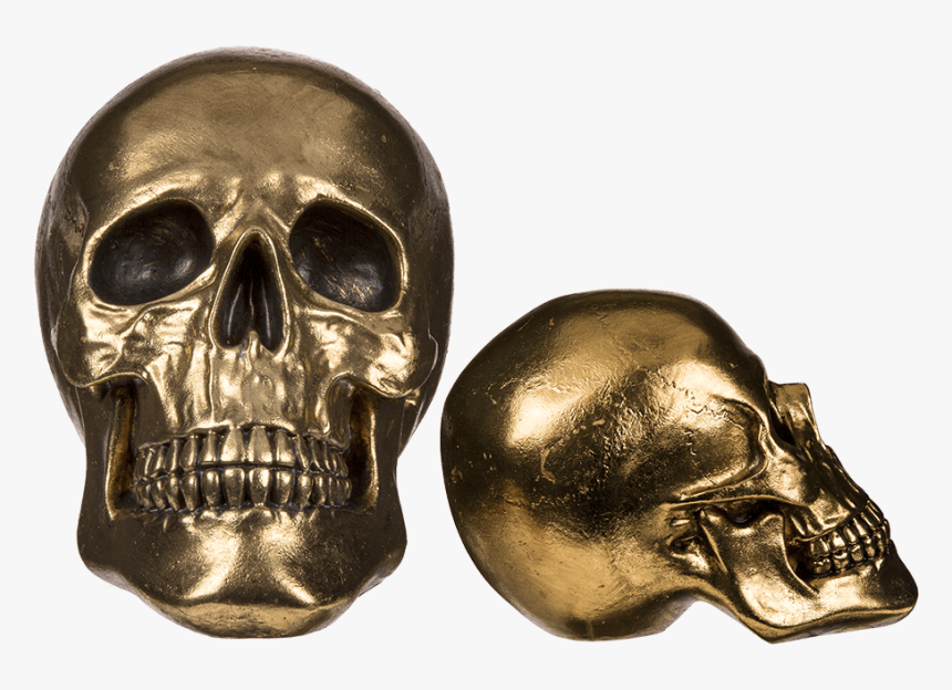 Skull Bone Ornament, HD Png Download, Free Download