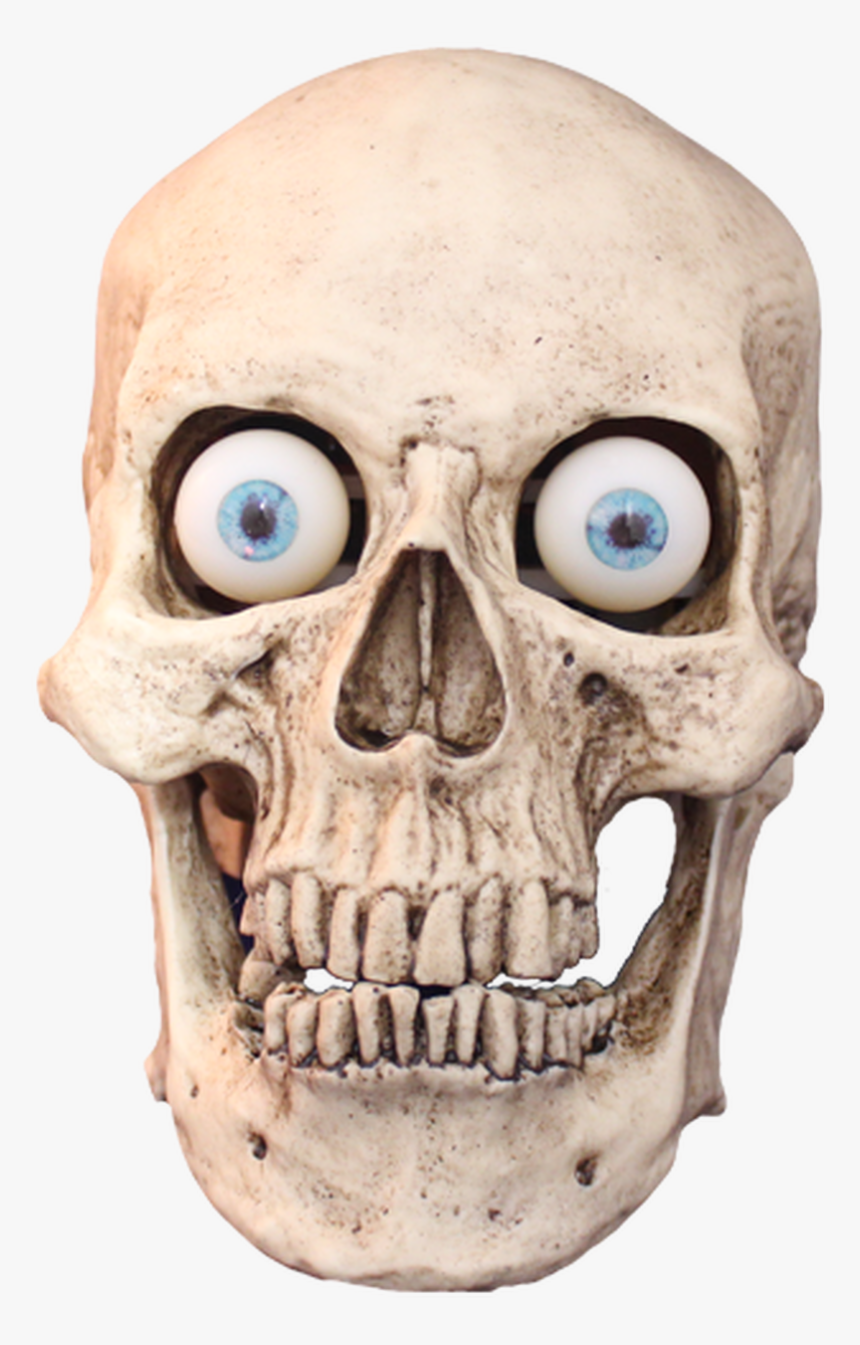 Standard Talking Skull - Talking Skull, HD Png Download, Free Download