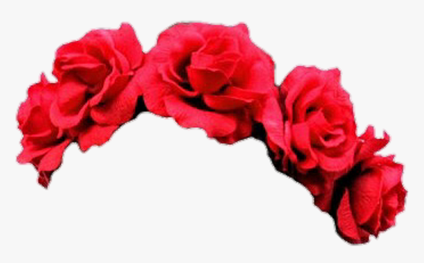 Flowers Flower Headband Flowerband Flowercrown Overlay - Red Flower Crown Png, Transparent Png, Free Download