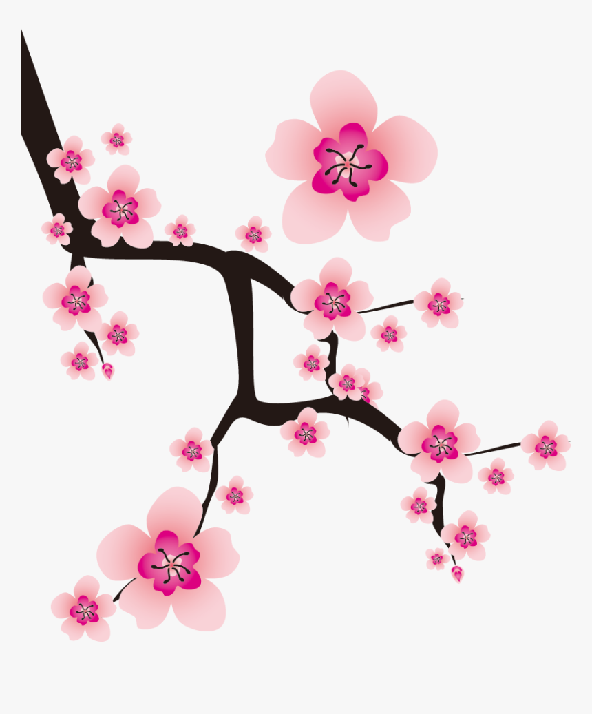 Transparent Sakura Branch Png - Cherry Blossoms Vector Png, Png Download, Free Download