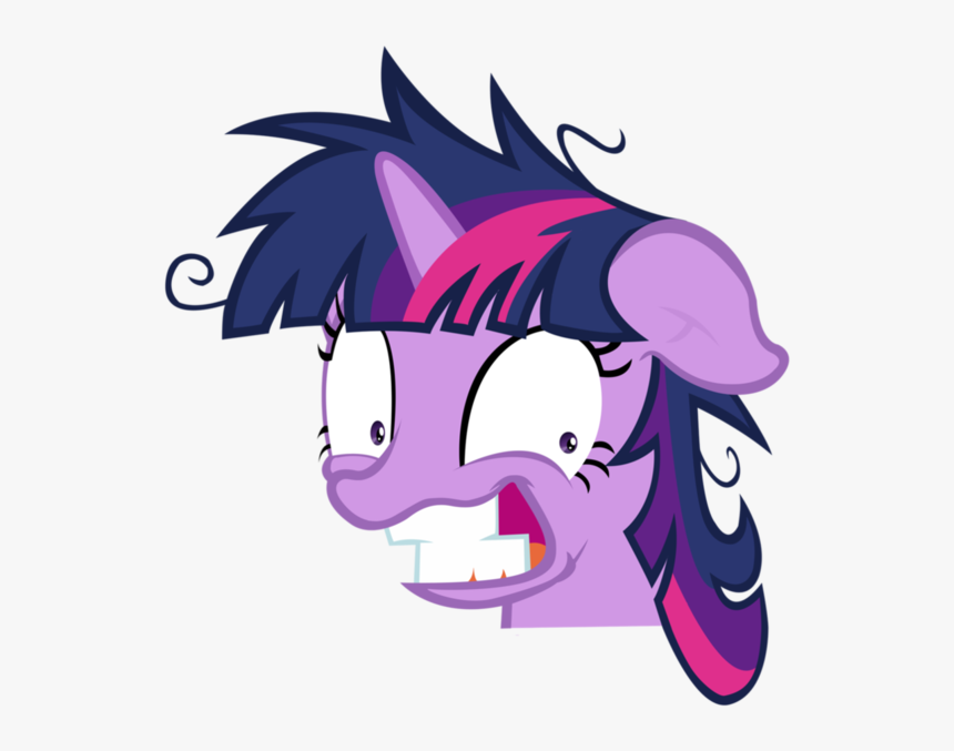 My Little Pony Funny Memes, HD Png Download, Free Download