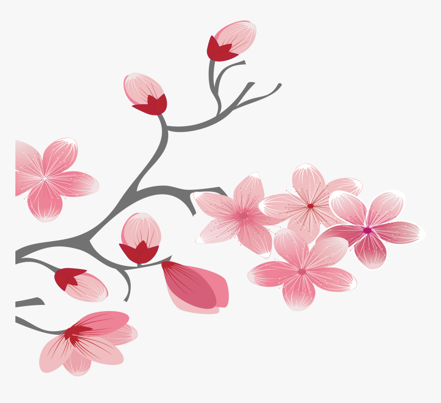 Branch Vector Elegant - Cherry Blossom, HD Png Download, Free Download