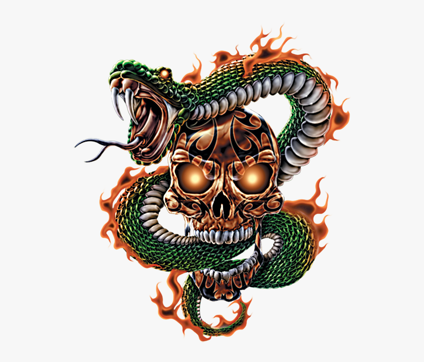 Transparent Fire Skull Png - Snake And Skull Png, Png Download, Free Download